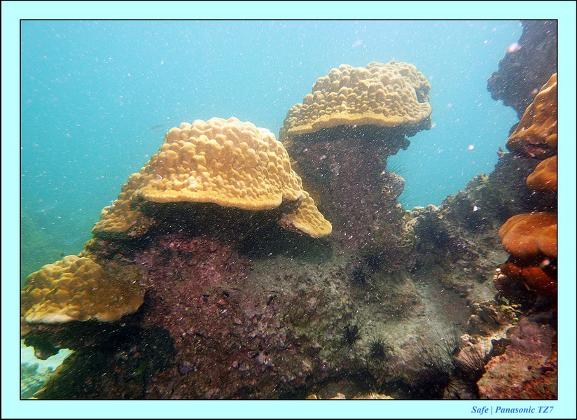 2011 - 07 - Koh Lipe 54